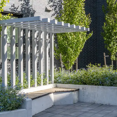 Pergola over a concrete bench with planting and columnar trees