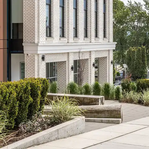 Concrete steps and planted beds at the base of a white brick building